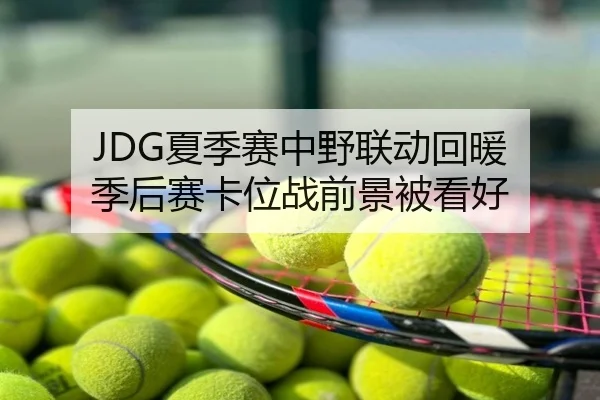 JDG夏季赛中野联动回暖 季后赛卡位战前景被看好